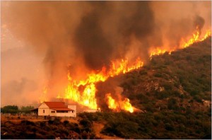 Bushfire Builders